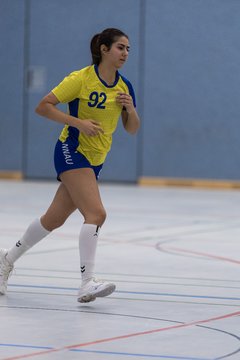Bild 257 - F HSG Pinnau2 - Rellinger TV2 : Ergebnis: 27:20